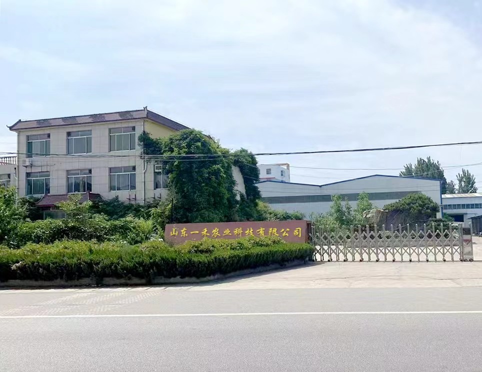 중국 Shandong Yihe Agricultural Technology Co., Ltd. 회사 프로필