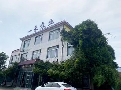 중국 Shandong Yihe Agricultural Technology Co., Ltd. 회사 프로필