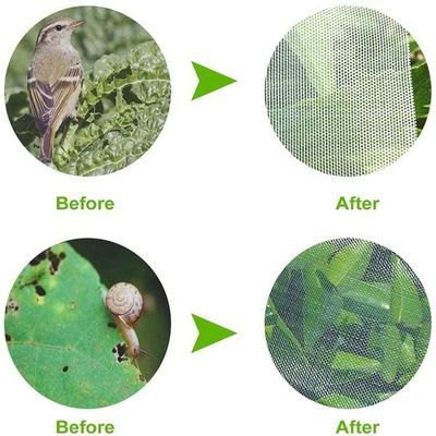 농업 HDPE 플라스틱 반 곤충 망 덮개에 대한 곤충 방지 망 과일 나무 보호 망 가방 효과적 해충 관리