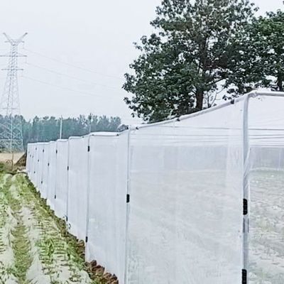 투명한 HDPE UV 플라스틱  Mesh 온실 곤충망 그림자  선박 격리망 효과적 해충 관리