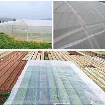 투명한 HDPE UV 플라스틱  Mesh 온실 곤충망 그림자  선박 격리망 효과적 해충 관리