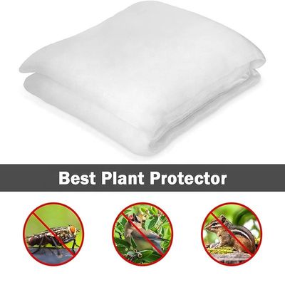 투명한 HDPE UV 플라스틱  Mesh 온실 곤충망 그림자  선박 격리망 효과적 해충 관리
