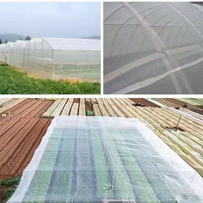 지속가능한 농업 온실 및 채소 정원을 위한 HDPE 나일론 곤충 스크린 망