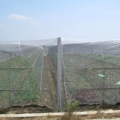 온실망 농업 식물원용 폴리에틸렌 곤충망 HDPE 접기