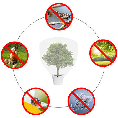 곤충 방지 망의 HDPE 플라스틱으로 된 과일 나무 덮개