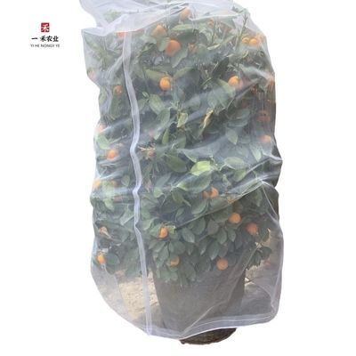 곤충 방지 망의 HDPE 플라스틱으로 된 과일 나무 덮개