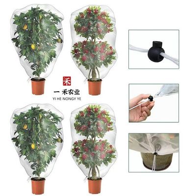 곤충 방지 망의 HDPE 플라스틱으로 된 과일 나무 덮개