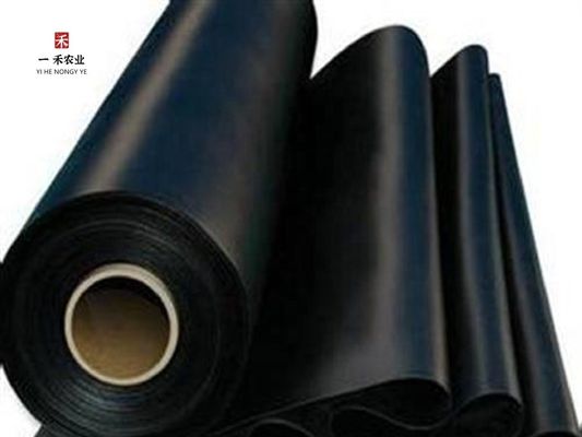 광업용 HDPE 지질막 라인어 저수지 덤비 물고기 연못 새우 농장