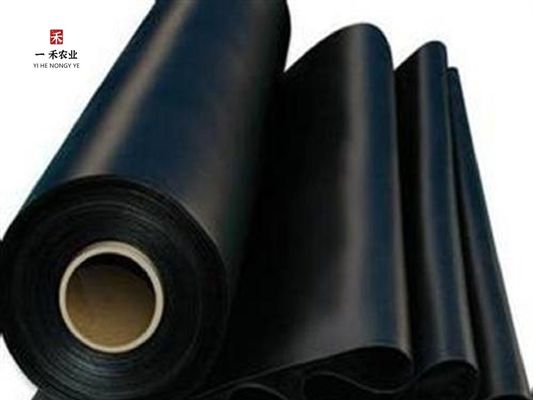 광업용 HDPE 지질막 라인어 저수지 덤비 물고기 연못 새우 농장