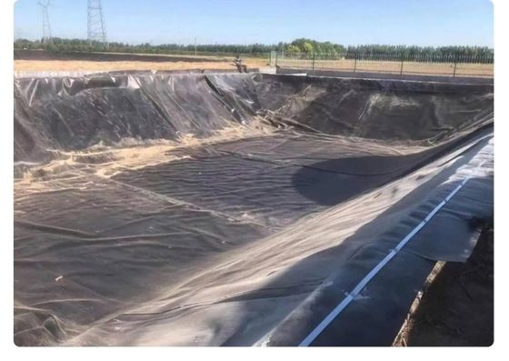 광업용 HDPE 지질막 라인어 저수지 덤비 물고기 연못 새우 농장