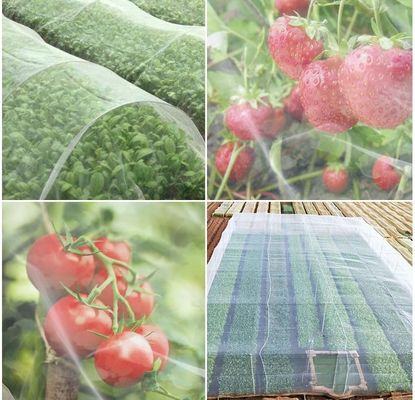 HDPE 플라스틱 타입 접는 정원 망 곤충망 20/30/40/50 버진