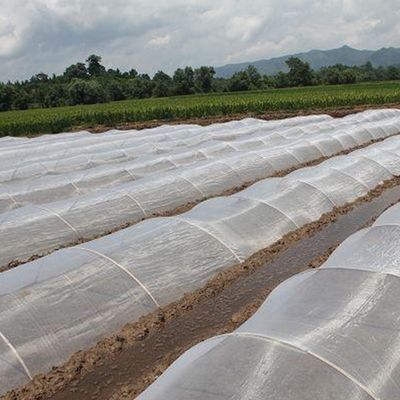 HDPE 항 자외선 곤충 격리