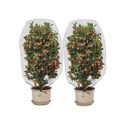 HDPE/PE/PP 플라스틱 드래그 스트링 곤충망 새 보호 과수원 정원 채소 꽃 과일 흰색