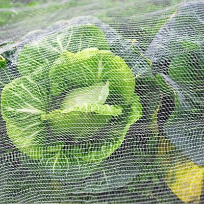가든 및 온실을위한 코팅 은섬유  Mesh 반 곤충  네트워크