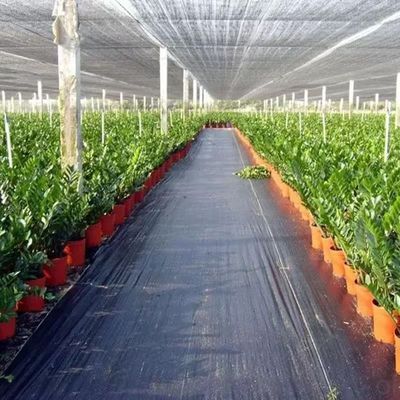 보호 PP 직사막 PE 바닥 덮개  Mesh 잡초 매트 롤 안티 잔디 잡초 Mulch 필름
