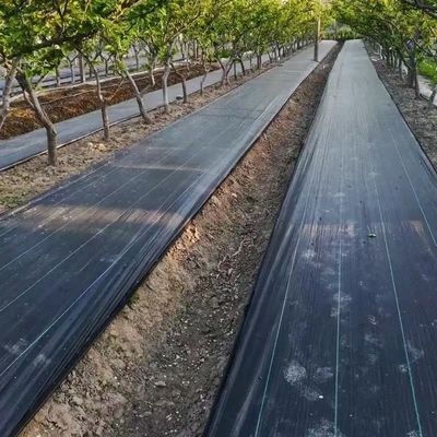 보호 PP 직사막 PE 바닥 덮개  Mesh 잡초 매트 롤 안티 잔디 잡초 Mulch 필름