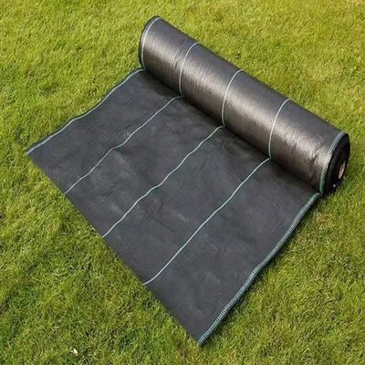 보호 PP 직사막 PE 바닥 덮개  Mesh 잡초 매트 롤 안티 잔디 잡초 Mulch 필름