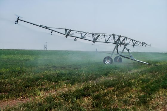 첨단 관개 시스템 직접 농업 Hose Reel Sprinkler 효과적인 농장 관개를 위한 이동 관개기