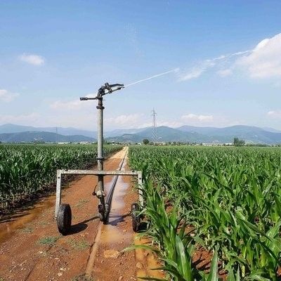 첨단 관개 시스템 직접 농업 Hose Reel Sprinkler 효과적인 농장 관개를 위한 이동 관개기