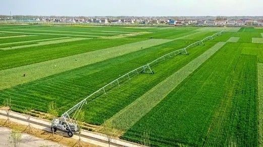 정밀 관개 가용 물 지능 농업용 편리 한 측면 이동 관개기 3800 KG
