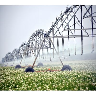 물 절약 센터 농산물 자동 태양광 기술을 위한 피브 관개 시스템