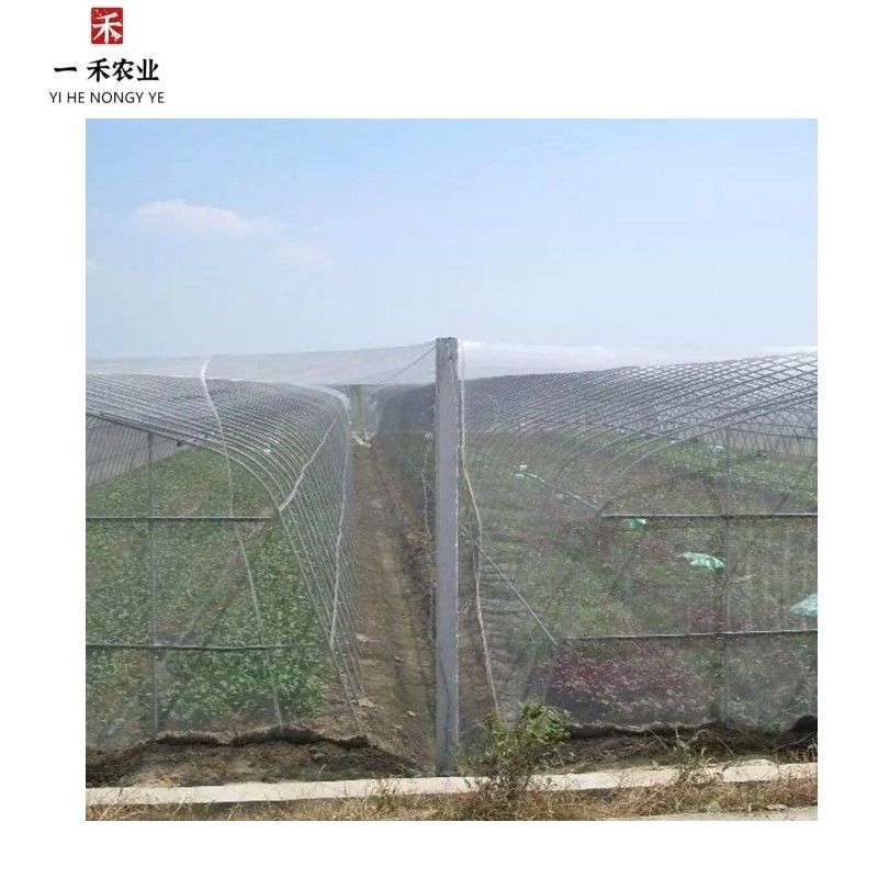 PE 농업 나무 및 채소 정원에 대한 폴리에틸렌 곤충 망 20 망 반 곤충 접기